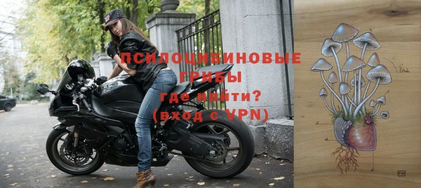 хмурый Горнозаводск